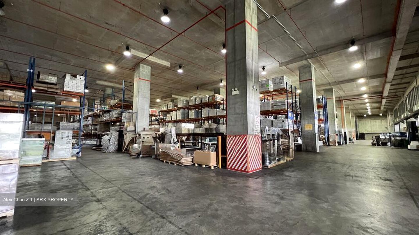 Thyssen Haniel Logistics Centre (D16), Warehouse #578705871